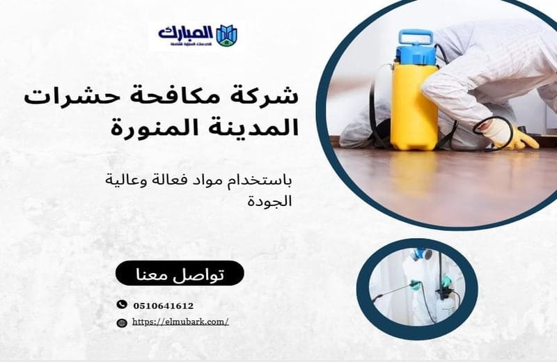 شركة مكافحة حشرات المدينة المنورة 1 شركة مكافحة حشرات المدينة المنورة