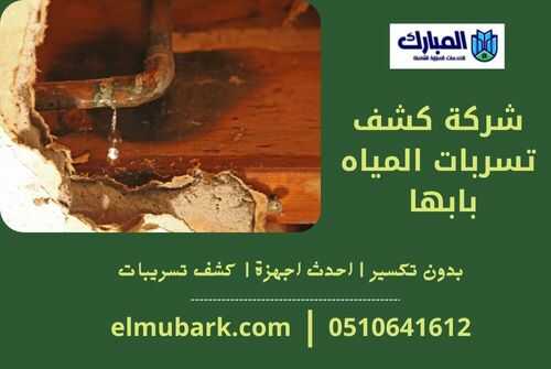 شركة كشف تسربات المياه بابها 1 شركة كشف تسربات المياه بابها