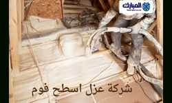 شركة عزل اسطح 2 شركة عزل اسطح فوم